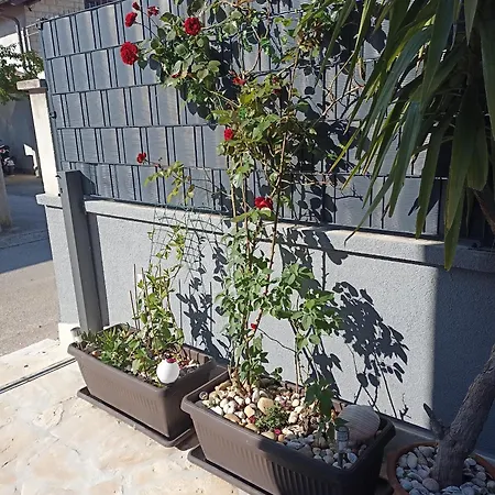 Apartamento Lara Zadar